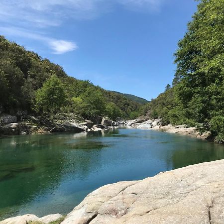 Chambre D'Hote Lavande - Le Soleil Des Cevennes Saint-Jean-du-Gard Dış mekan fotoğraf