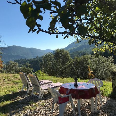 Chambre D'Hote Lavande - Le Soleil Des Cevennes Saint-Jean-du-Gard Dış mekan fotoğraf