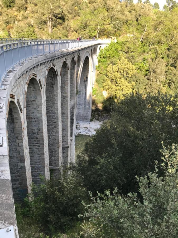 Chambre D'Hote Lavande - Le Soleil Des Cevennes Saint-Jean-du-Gard Dış mekan fotoğraf