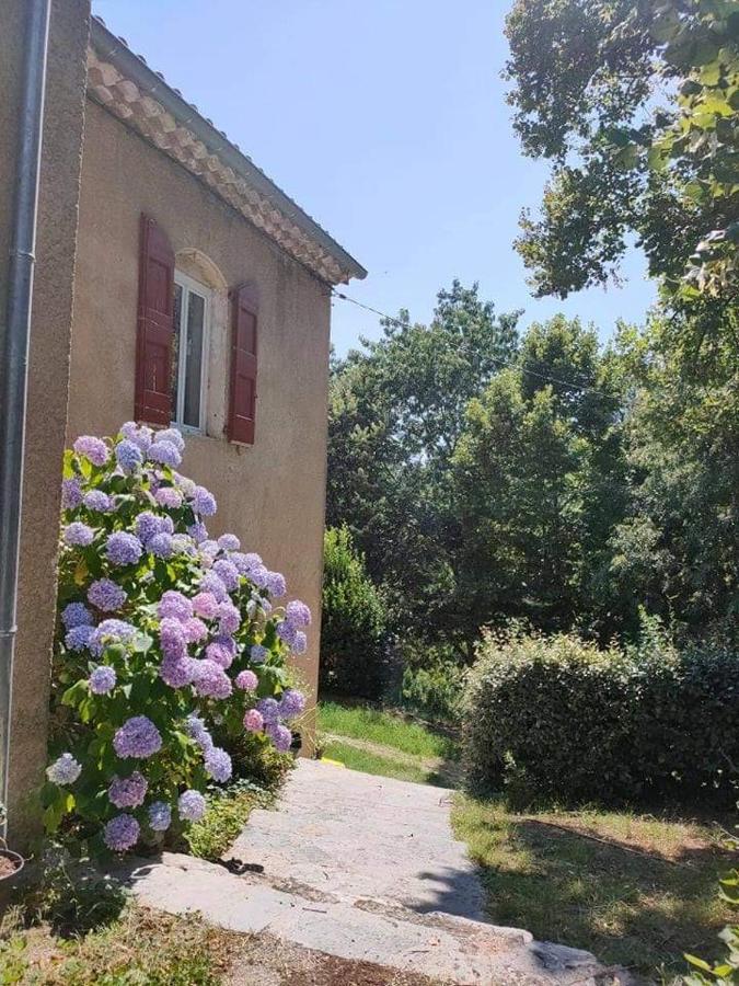 Chambre D'Hote Lavande - Le Soleil Des Cevennes Saint-Jean-du-Gard Dış mekan fotoğraf